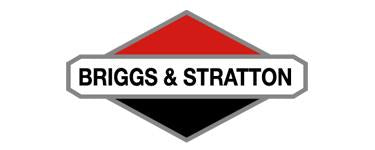 Briggs & Stratton